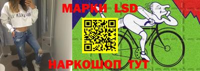 спиды Аргун