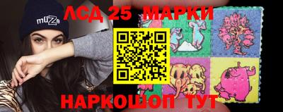 спиды Аргун