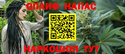 спиды Аргун