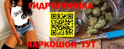 спиды Аргун