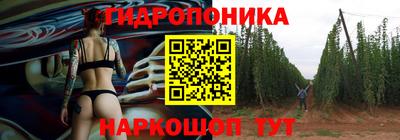 спиды Аргун