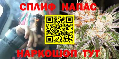 спиды Аргун