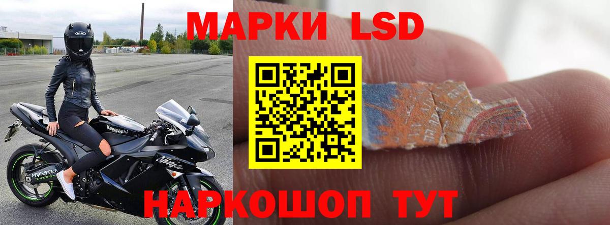 Альфа ПВП Великий Новгород