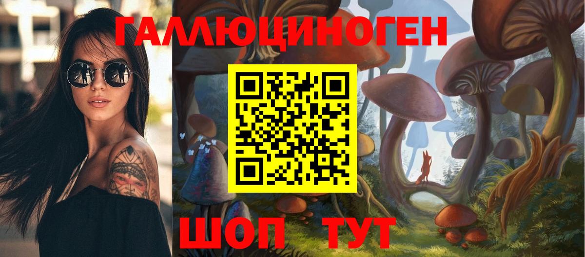 Псилоцибиновые грибы GOLDEN TEACHER  Вход с VPN  Великий Новгород 