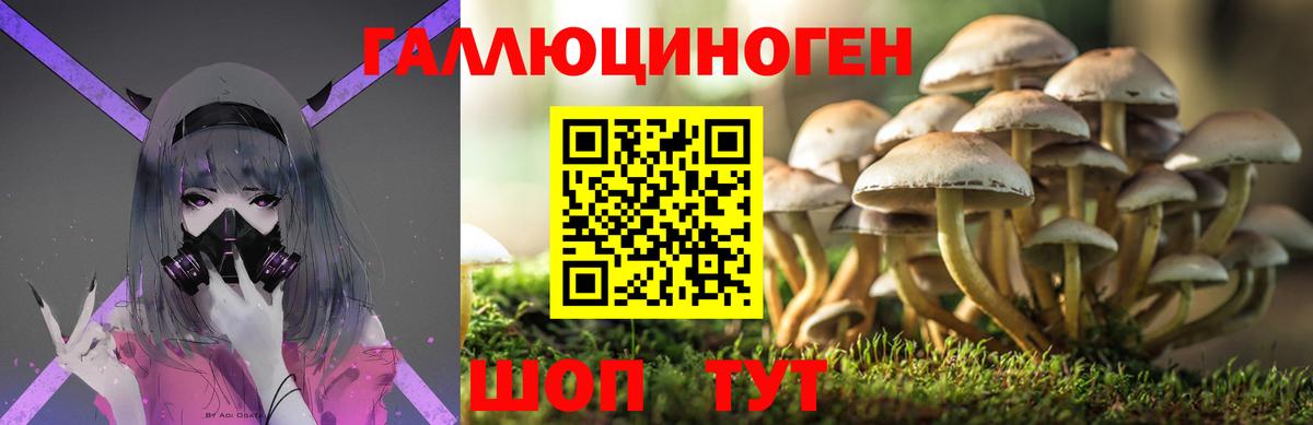 Галлюциногенные грибы мухоморы Великий Новгород